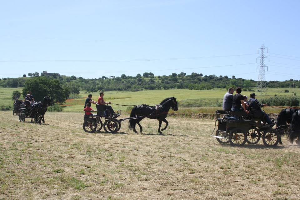 Agriturismo La Fattoria di Selvapiana