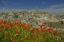 Immagine di TOUR DEI SASSI DI MATERA
