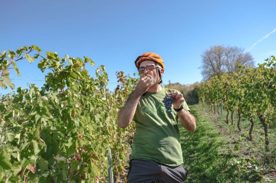 Immagine di IL PARCO DELLE DOLOMITI LUCANE E I LUOGHI DEL VINO AGLIANICO - TOUR DEL GUSTO