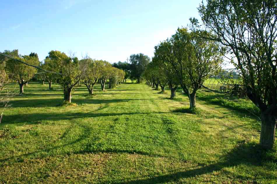 Agriturismo Casapanetta