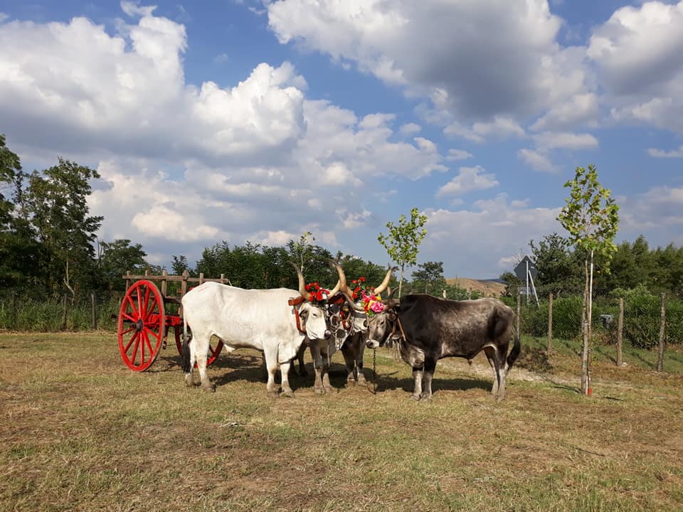 I Sapori dei Briganti