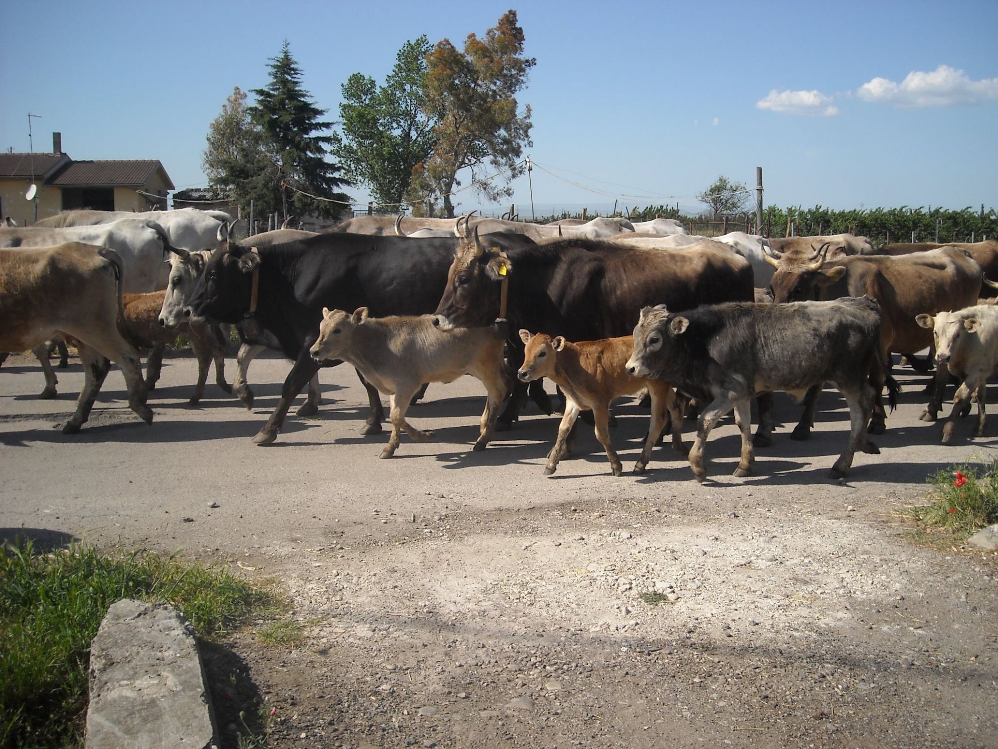 Agriturismo Carpe Diem