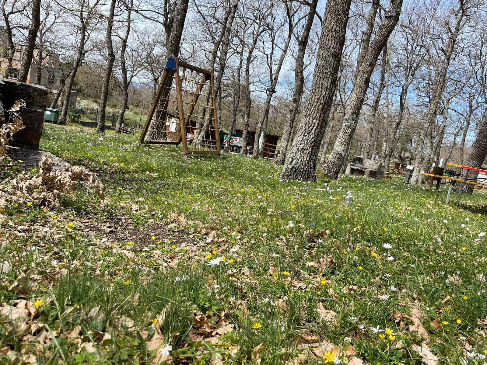 Parco Avventura Naturavventura