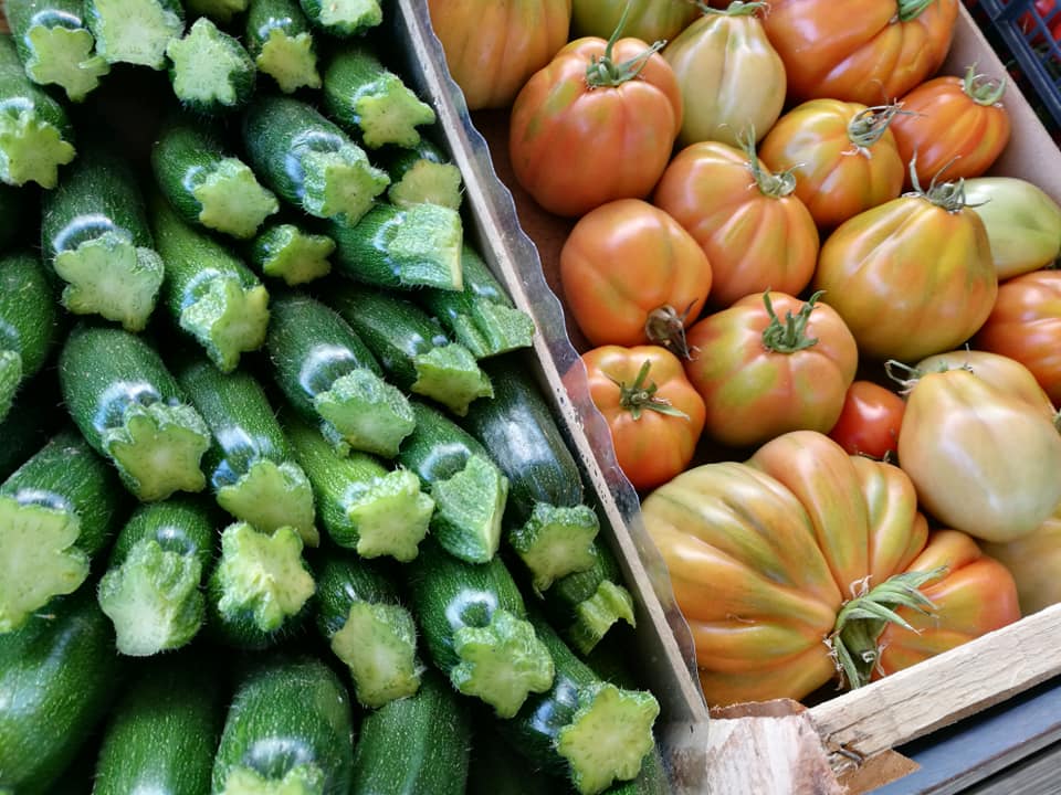 Azienda Agricola Minonni Santa