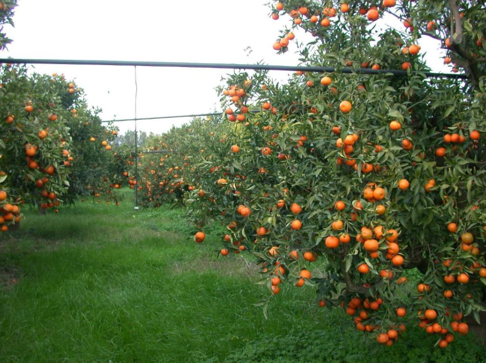 Agriturismo Bio Mele