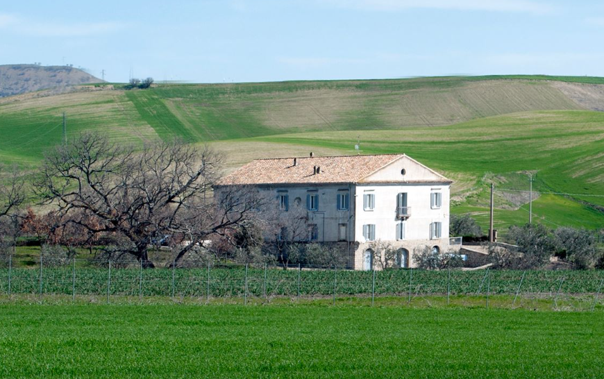 Azienda Agricola San Germano