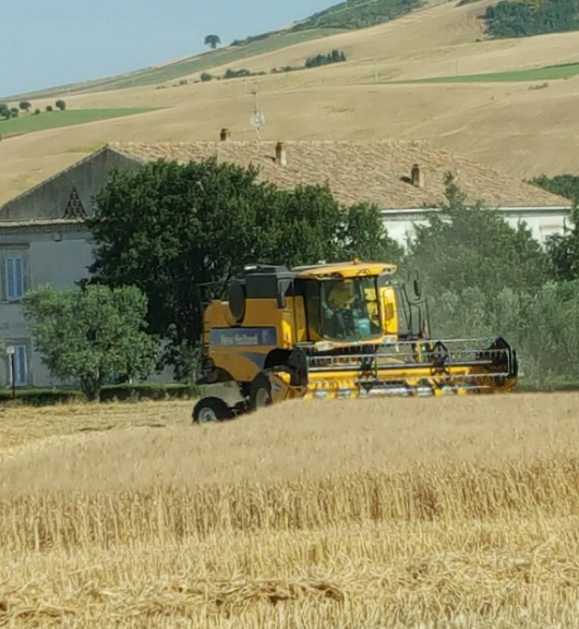 Azienda Agricola San Germano