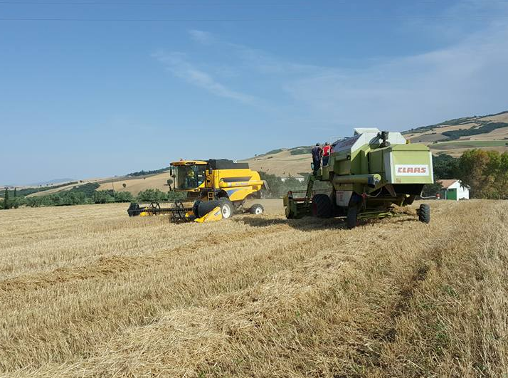 Azienda Agricola San Germano