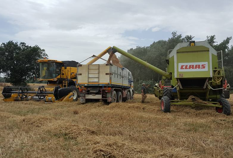 Azienda Agricola San Germano