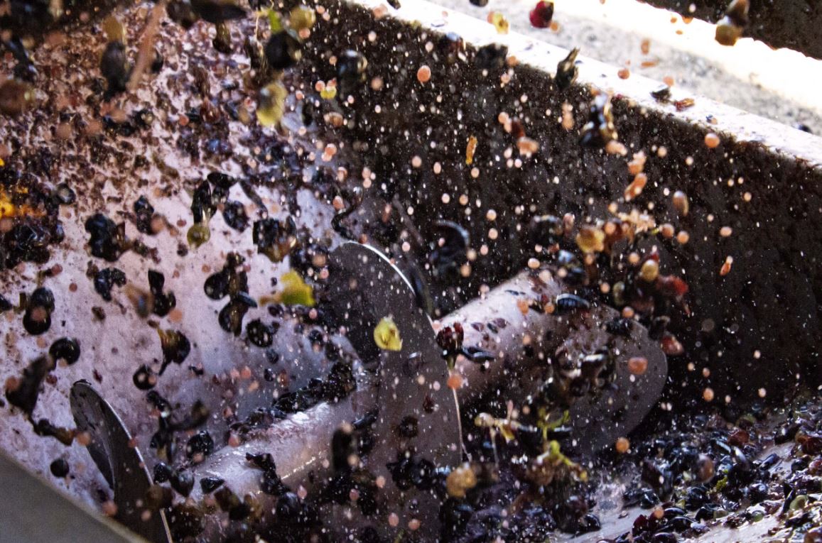 Azienda Agricola Elena Fucci