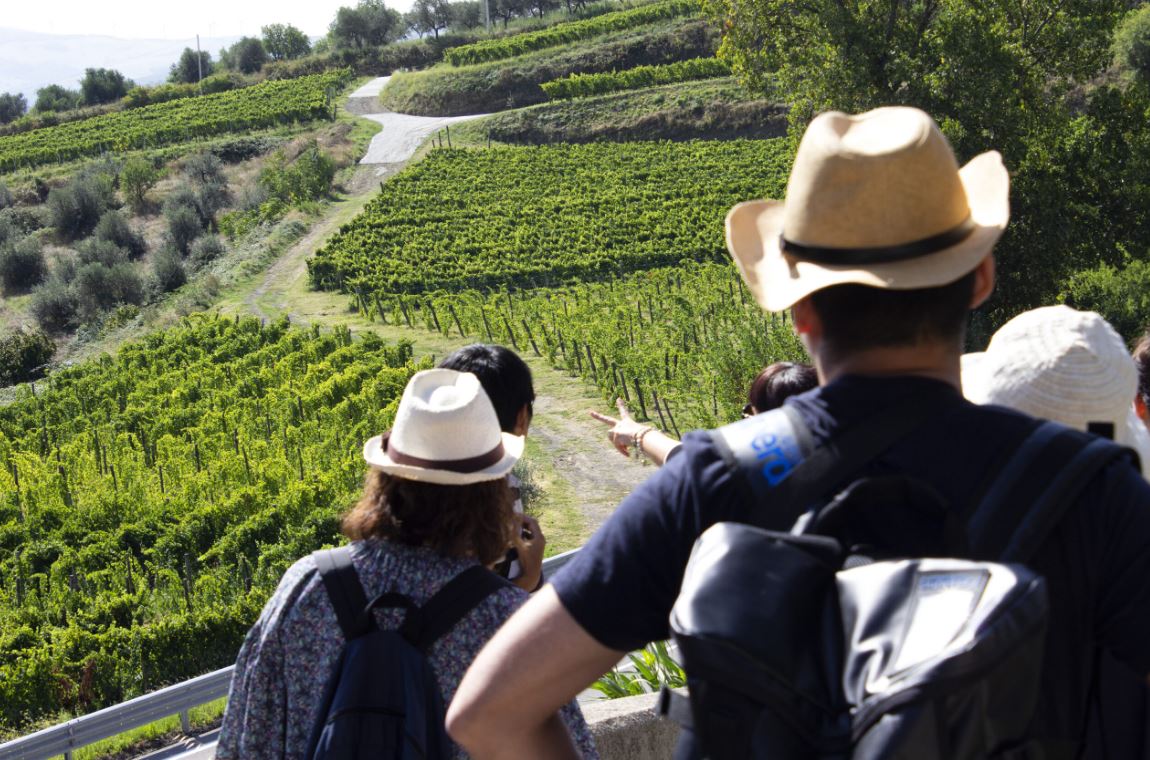 Azienda Agricola Elena Fucci