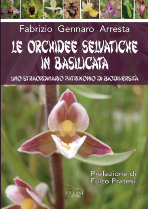 Visualizza i dettagli per Le orchidee selvatiche della Basilicata Immagine di Le orchidee selvatiche della Basilicata