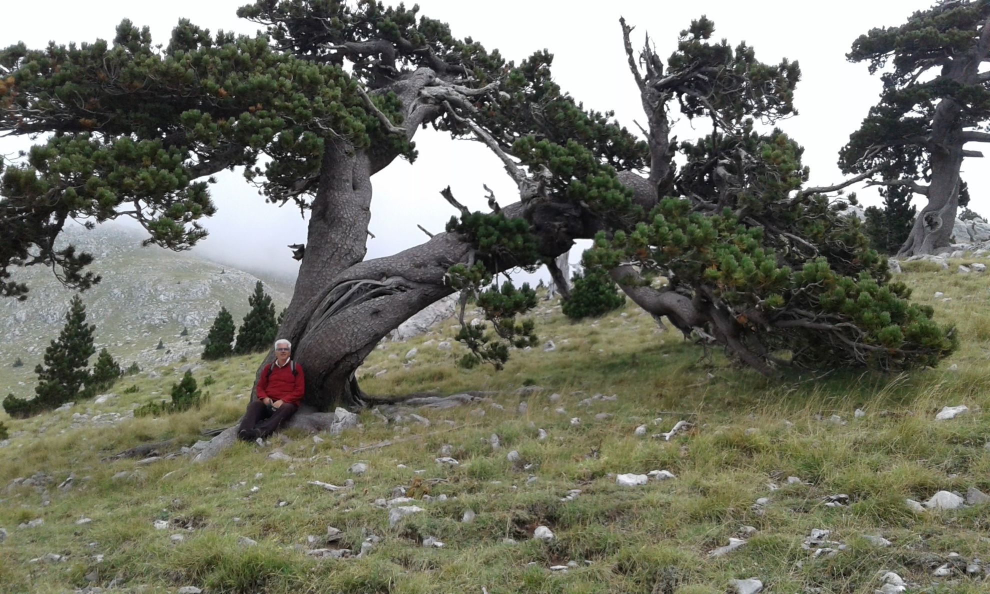 La Terra dei Mulini