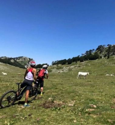 Visualizza i dettagli per Mountain Bike ed E-bike nel Parco Nazionale del Pollino Immagine di Mountain Bike ed E-bike nel Parco Nazionale del Pollino