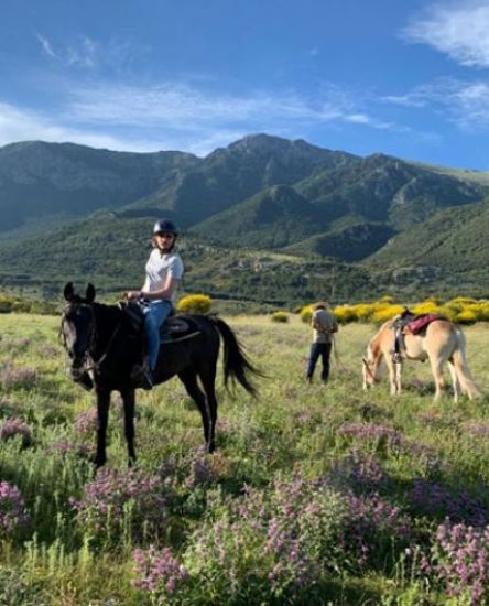 Immagine di Passeggiate a cavallo