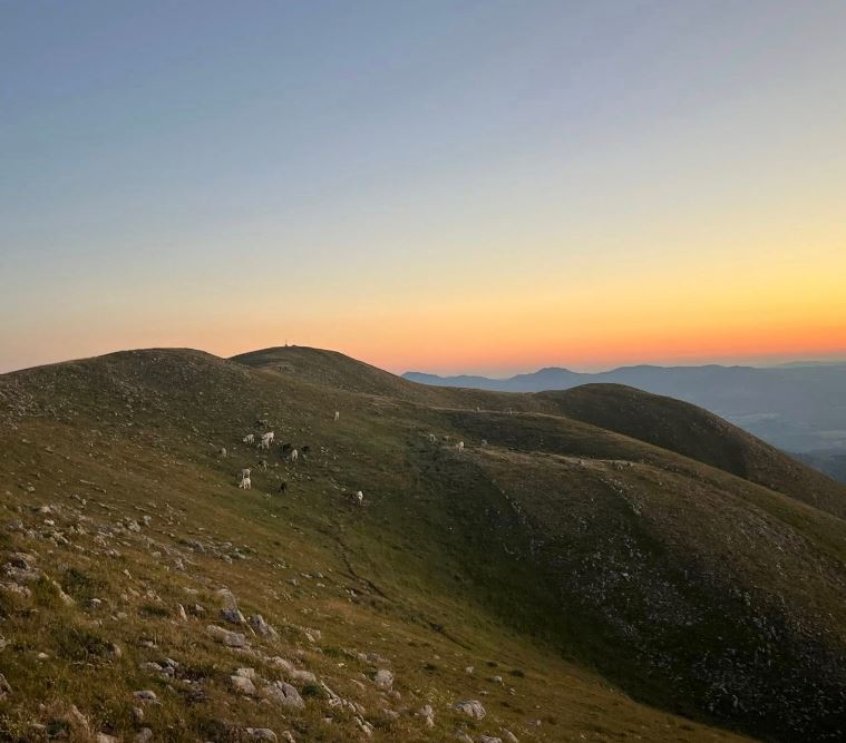 Lucania Trekking