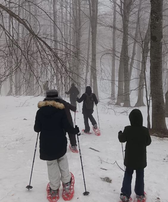 Lucania Trekking