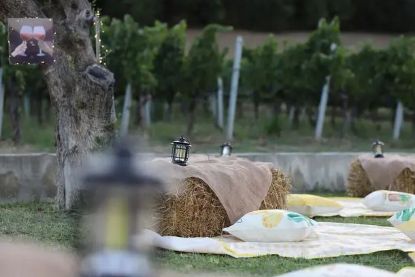 Immagine di Formula Pic-Nic