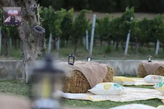 Immagine di Formula Pic-Nic