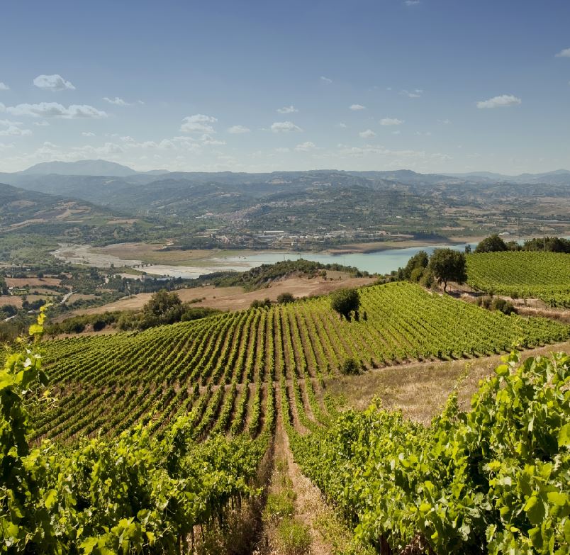 Eco Resort dei Siriti