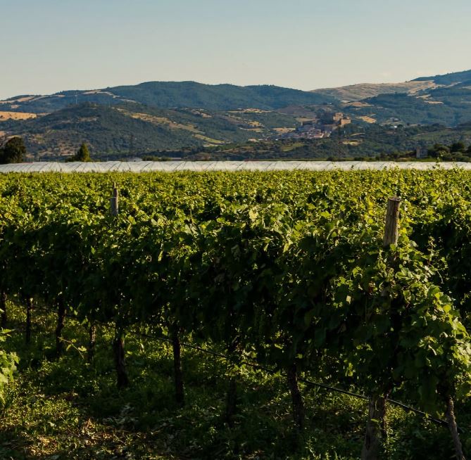 Eco Resort dei Siriti